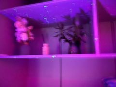 -享纯·私密·男士日式SPA