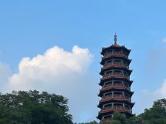 -红花山公园