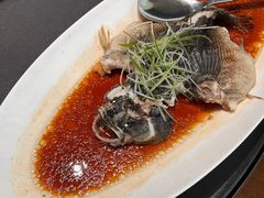 -曼格纳·曼芯馆(杨浦店)