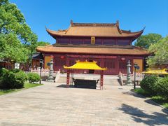 -溱湖国家湿地公园