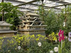 -南宫五洲植物乐园