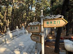 -林海公园