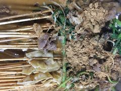 -杨翔豆皮涮牛肚(万和城店)