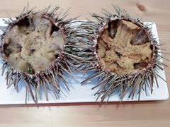 -海胆小馆(东北水饺·春柳店)