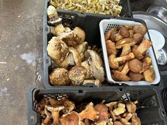 -草墩罗非鱼庄•野生菌•腊排骨(七星街上段店)