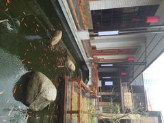 阳春市花园酒店-阳春市花园酒店