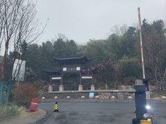 -云龙山