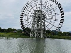 -苏州太湖湖滨国家湿地公园