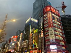 -秋叶原电器街