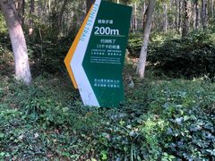 -老山国家森林公园