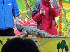 -上海大自然野生昆虫馆(东方明珠·爬宠昆虫探索中心)