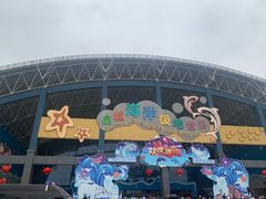 -泉城欧乐堡海洋极地世界
