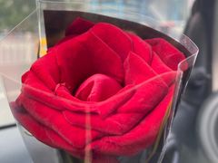 -IL Forno 意坊·意大利餐厅(花园店)