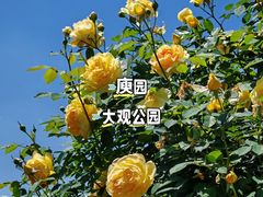 -庾园