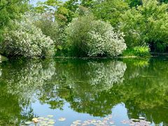 -上海共青森林公园