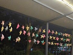 -阳光山水江湖菜馆(西山龙门店)