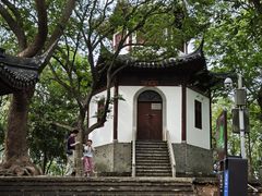 -上海佘山国家森林公园天马山园