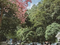 -火炉山森林公园
