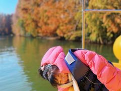 -上海海湾国家森林公园