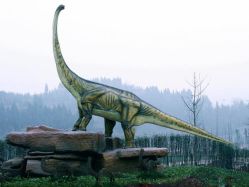 -恐龙探索乐园(磁器口店)