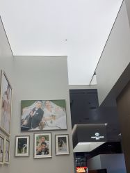 -金夫人婚纱摄影(总店)