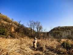 -白鹿原影视城