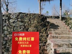 -西部长青自然儿童乐园