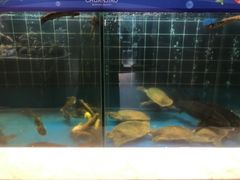 -川骄海鲜自助(亚运村店)