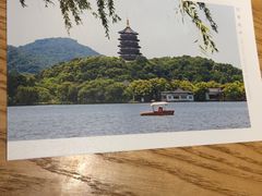 明信片-猫的天空之城概念书店(杭州南宋御街店)