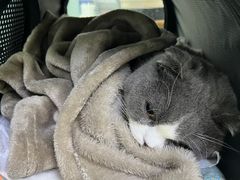 -达爱动物医院·犬猫分区·CT·复杂眼科(远洋山水分院)