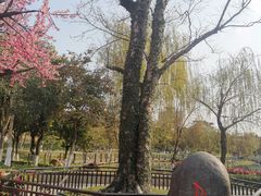 -映月湖公园