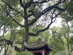-天一阁博物院