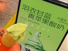 -野人先生现做冰淇淋(北京王府井东方新天地店)