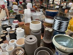 -秦美花卉(天朗·莱茵小城2期店)