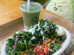 -油梨树AVOCADO TREE(望京店)