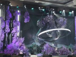 -武汉汉口喜来登大酒店·宴会厅