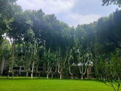 -东南大学(四牌楼校区)