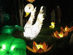 -昆山城市生态森林公园