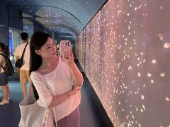 -合肥海洋世界