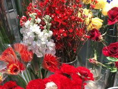 -植物学家的女儿(北马道巷店)