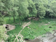-沈阳森林动物园