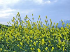 -西南政法大学(渝北校区)