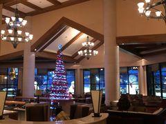 -长白山万达喜来登度假酒店