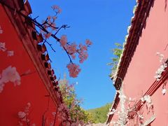 -潭柘寺景区