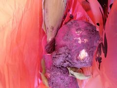 -乡乐园蟹庄·阳澄湖农家乐