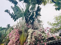 -深圳国际园林花卉博览园