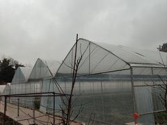 -普迪生态园