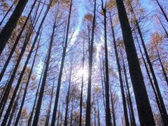 -山王坪喀斯特国家生态公园