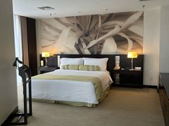 -国家会议中心大酒店