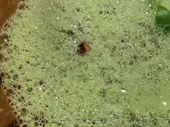 -鱼桥巷·美学川菜